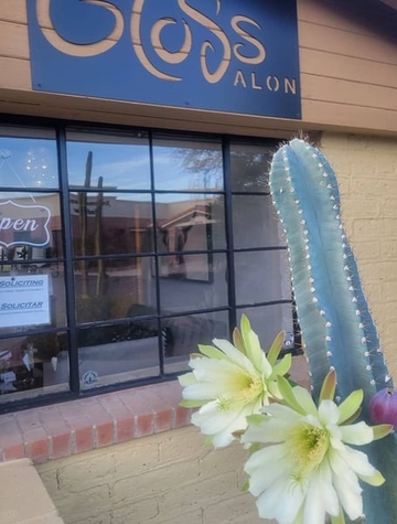 Cactus in bloom at salon front entrance